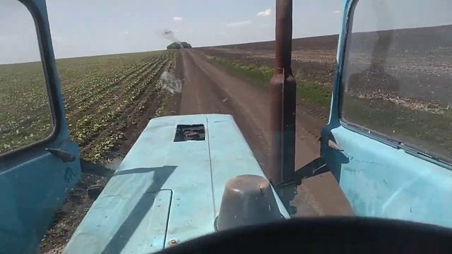 сенокос 2022 смотреть онлайн