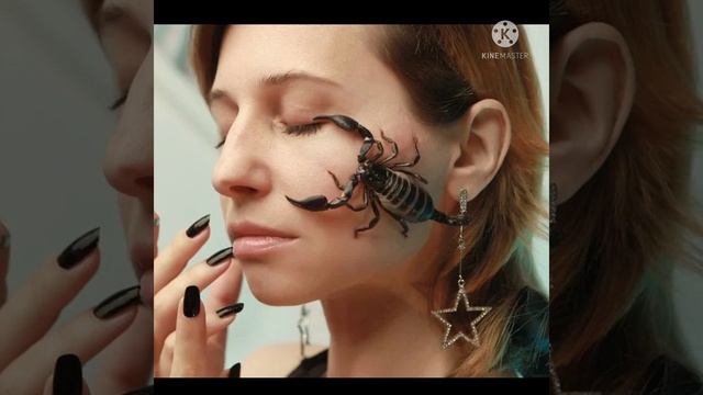 Scorpion 🦂🦂🦂🤔🤔🤔 смотреть онлайн