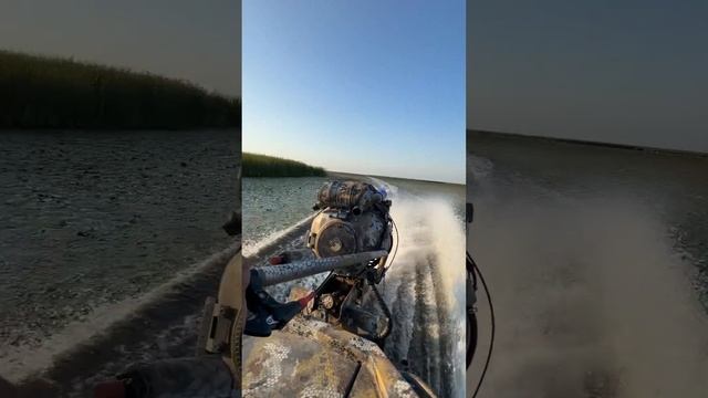 29 августа 2024 г. смотреть онлайн