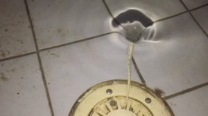 Водоворот Чёрная дыра