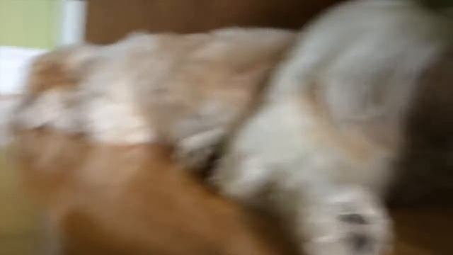 Vlog #198 My CHEST IS ON FIRE