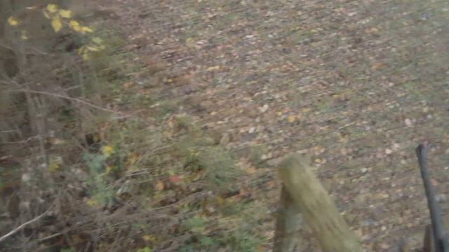 Chasse Merkel Rx Hélix Aimpoint Hunter Tir 2 смотреть онлайн