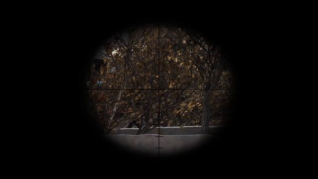 прохождение stalker global war # 2 смотреть онлайн