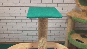 Как сделать когтеточку для кошки своими руками в домашних условиях? Как приучить к когтеточке?