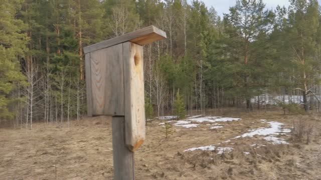 Как сделать скворечник своими руками смотреть онлайн