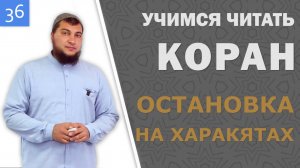 Урок №36: Остановка на харакятах в необозначенных местах