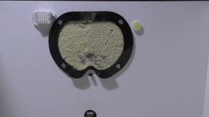 Инкубатор OVO 78 - итоги инкубации