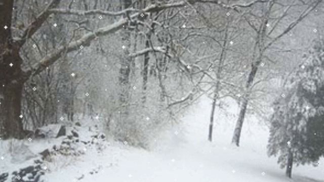 СНЕГОПАД -слова Евгения Дубиц Кузнецова музыка исполняет Алексей Герасимов. смотреть онлайн