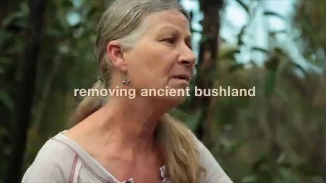 Manly Vale Bushland Under Threat смотреть онлайн