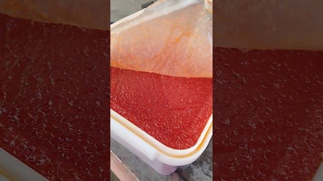 Икра кеты смотреть онлайн