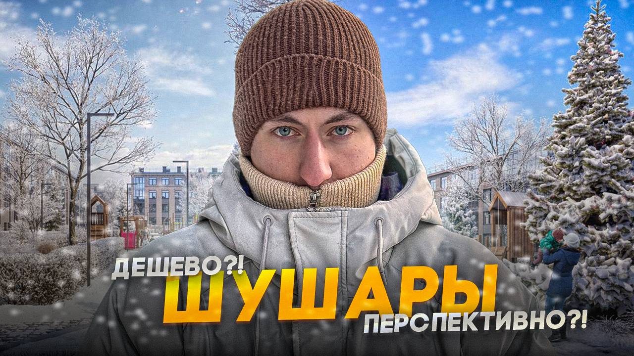 Шушары - Перспективная локация для будущей квартиры?! смотреть онлайн