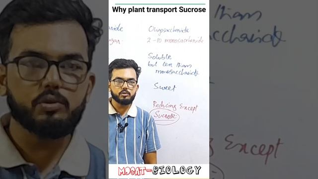 Why plant transport sucrose || MDCAT- Biology
