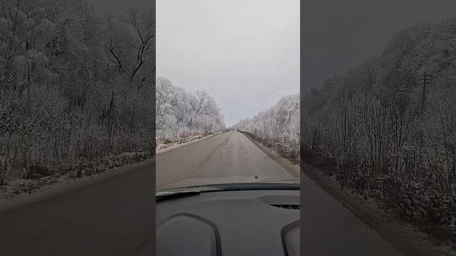 30 ноября 2024 смотреть онлайн