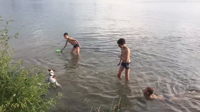 Одна собака может загонять троих детей))) смотреть онлайн