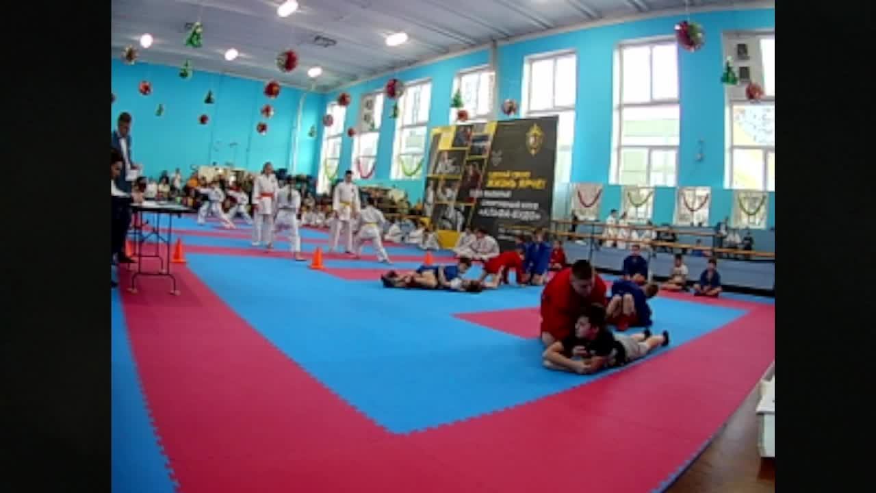 Татами 2 смотреть онлайн