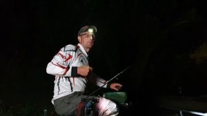 Ночная фидерная рыбалка в прямом эфире!