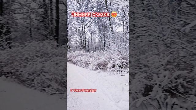 Когда много свободного времени