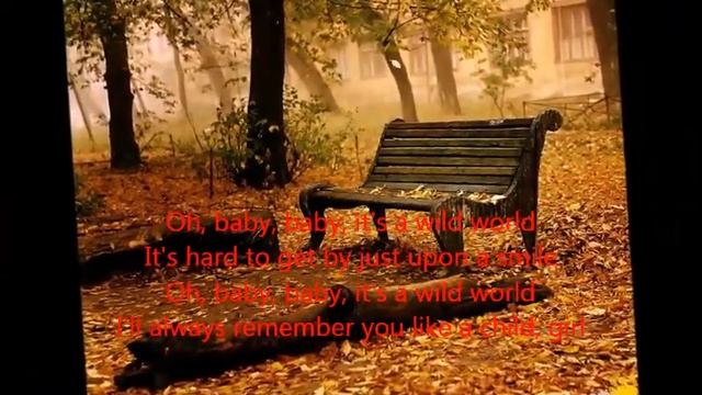 Cat Stevens -  Wild World (with Lyrics)