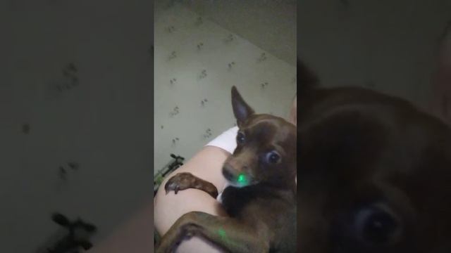 это я в детстве смотреть онлайн
