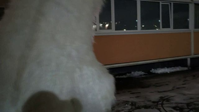 Рита день рождения смотреть онлайн