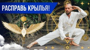 Упражнение Цигун Журавль расправляет крылья  Динамический цигун стиль журавля