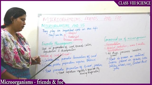 class VIII Science Microorganism Friends & Foe part 1 смотреть онлайн