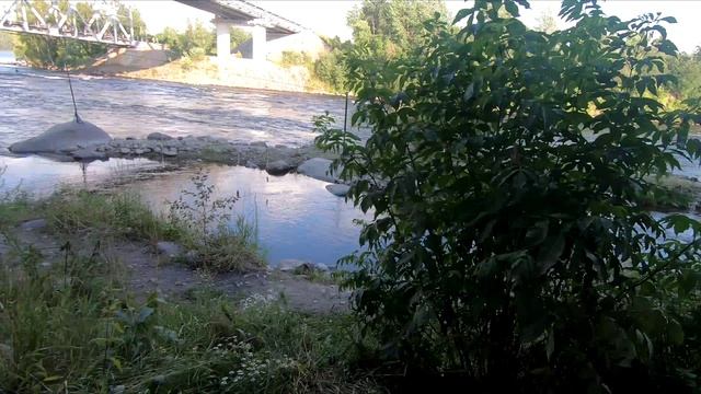 Лосевское приключение смотреть онлайн