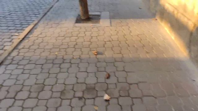 11.11.2022 Черновцы. Покупки украинцев 11.11 и переживания за Херсон смотреть онлайн