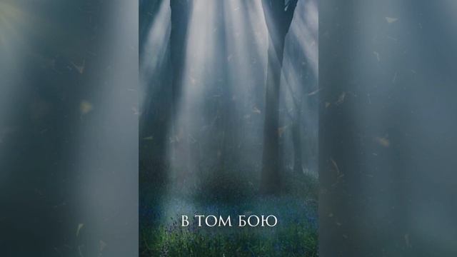 [Всеволочь - Баллада] Кавер-Альтернатива смотреть онлайн