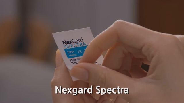 Nexgard Spectra_TVC 30's (KOR) смотреть онлайн