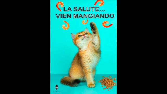 La salute...vien mangiando Episodio 5 Dermatiti ambientali e alimentari смотреть онлайн