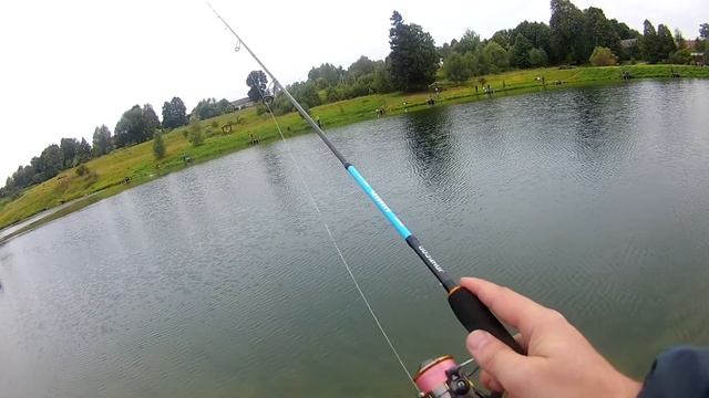 жена ловит а я нет!!!форель на планом пруду Сытый Кот!отчет с рыбалки 3 08 2019 смотреть онлайн