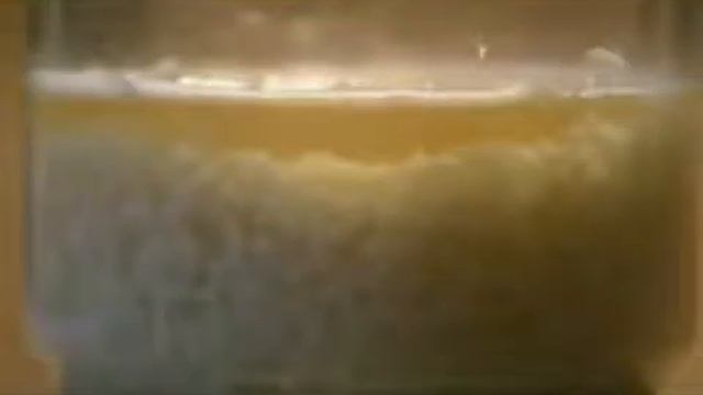 Японские исследования/ ЭТО ШОК!!!!!!!!!!!