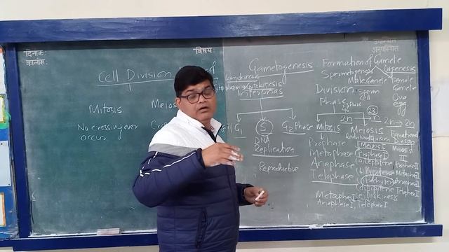 CELL DIVISION | CLASS 11 BIOTECH | CLASS 12 BIOLOGY | MEDICAL ENTRANCE TEST | BY ASHOK KUMAR YADAV смотреть онлайн