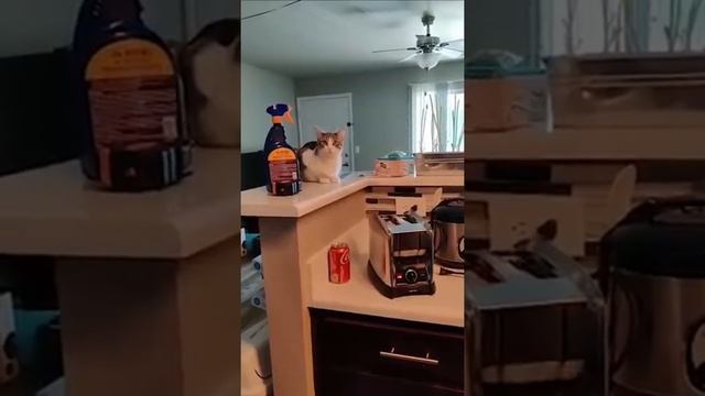 ПОЧЕМУ НЕ СТОИТ ХОДИТЬ В ОБЩИЙ ТУАЛЕТ : ПМЖ : Доза G : 008 смотреть онлайн