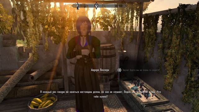 Enderal: Forgotten Stories №55 