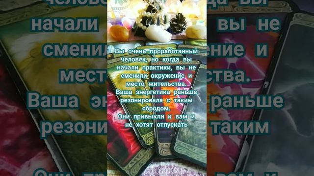 если вокруг вас одни псины сутулые. с чем это связано смотреть онлайн