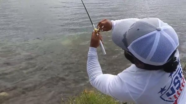 Best MICRO PEN ROD Fishing CHALLENGE with BIG FISH!!!
