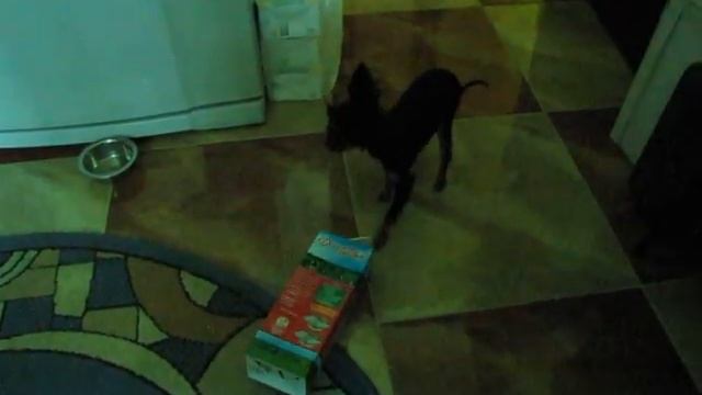 Это спарта.. или получи домик в деревне.. смотреть онлайн