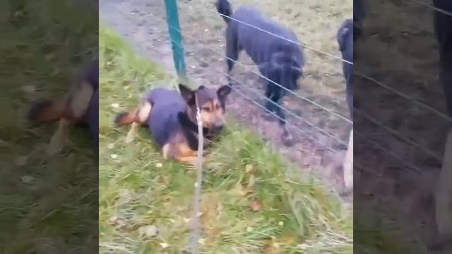 В восемь лет, жизнь только начинается смотреть онлайн