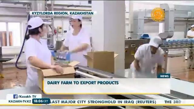 Молочная ферма в Казалинском районе ориентирована на экспорт