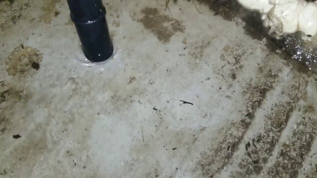Stinger - Powerful Compact Wet / Dry Vacuum смотреть онлайн