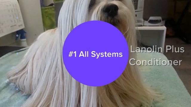 #1 All Systems Pure Lanolin Plus Conditioner смотреть онлайн