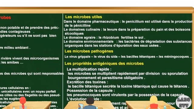 PARCOURS INTERNATIONAL BIOF les microbes смотреть онлайн