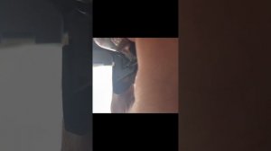 Rear bulb change on BMW x1