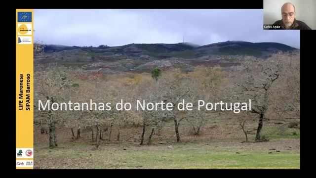 Workshop: "Silvopastorícia e Gestão da Biomassa" 21.12.2023 смотреть онлайн