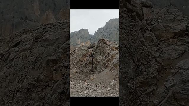 Алтын Гез.08.03.22. смотреть онлайн