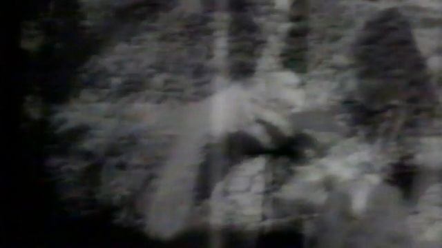 Creature Features Open Wgn Tv 1973 Master Hd смотреть онлайн
