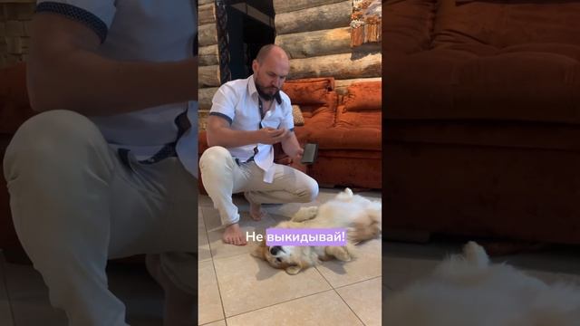 А у Вас так бывает? #жиза #семейныйканал #семейныйвлог #семейныйюмор смотреть онлайн