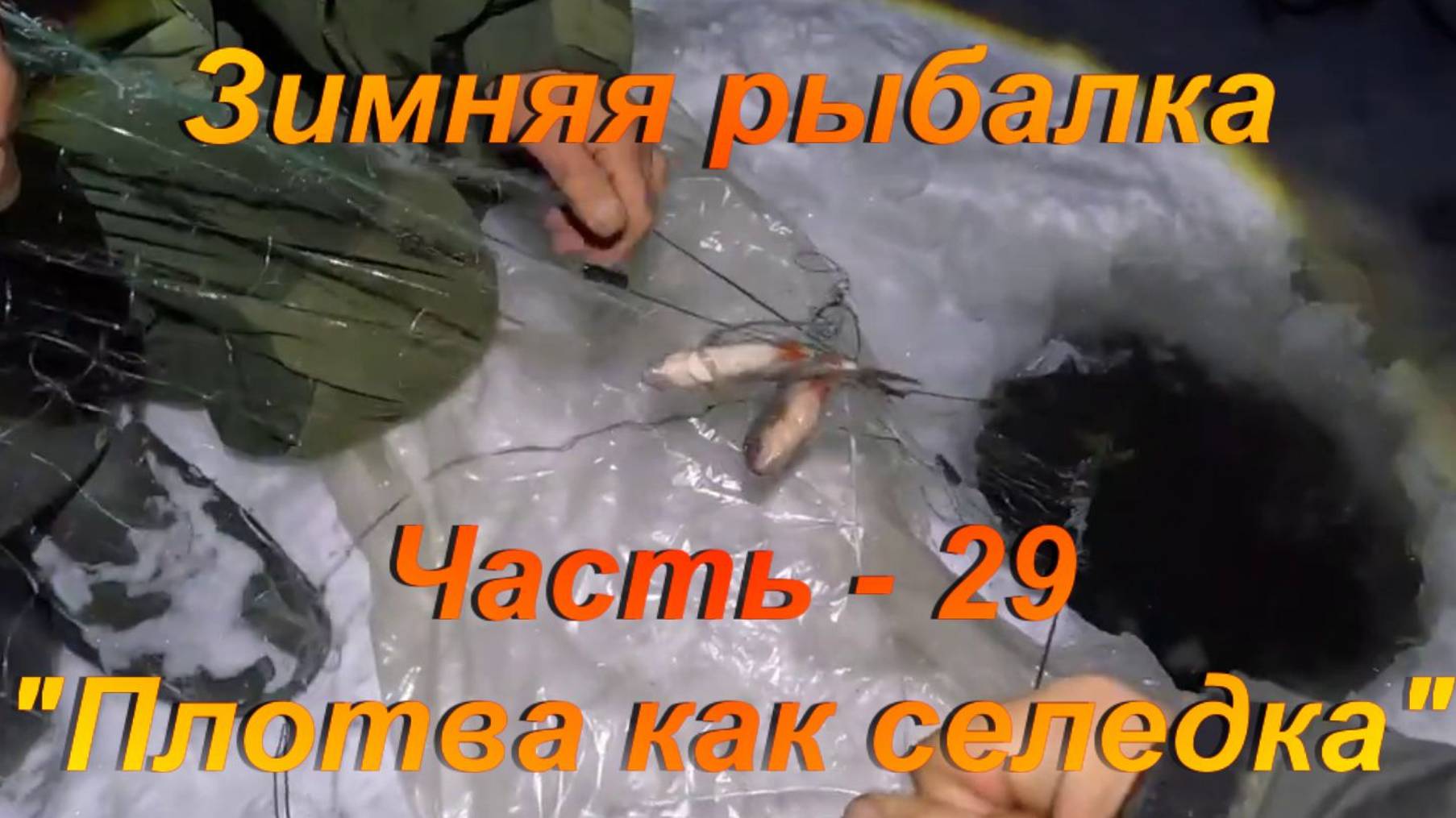 Зимняя рыбалка. Часть - 29. "Плотва как селедка". смотреть онлайн